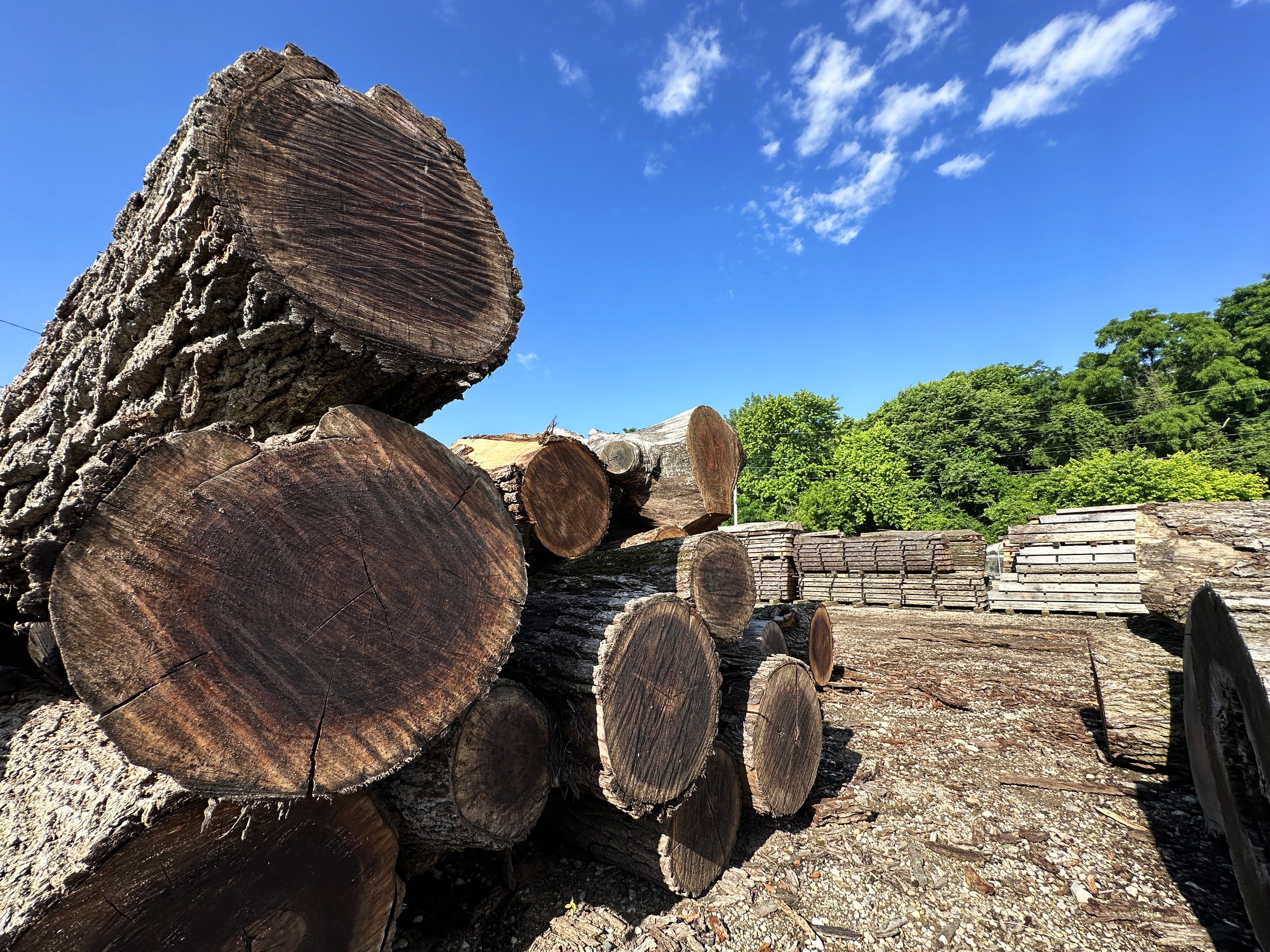 Live Edge Slabs + Custom Furniture Sourced From Columbus, Ohio